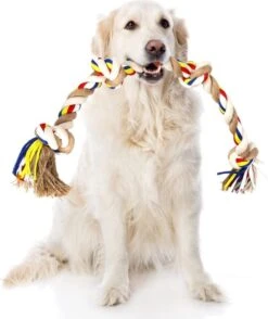 Nobleza Hondentouw - Speeltouw Hond - Flostouw Hond - Trektouw Hond - Lang - Geknoopt -Huisdier Verkoop 1008x1200 2