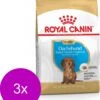 Royal Canin Bhn Dachshund Puppy - Hondenvoer - 3 X 1.5 Kg 2 Royal Canin Bhn Dachshund Puppy - Hondenvoer - 3 X 1.5 Kg -Huisdier Verkoop 1010x1200 4