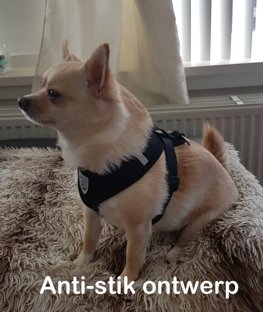 Luxyana Pets Hondentuig - M - 32-55cm - Harnas Voor Hond Of Grote Kat - Easy Step-in Hondenharnas - Inclusief Bijpassend Riempje - Zwart 7 Luxyana Pets Hondentuig - M - 32-55cm - Harnas Voor Hond Of Grote Kat - Easy Step-in Hondenharnas - Inclusief Bijpassend Riempje - Zwart - Afbeelding 5