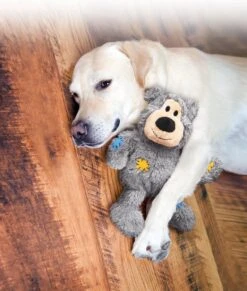 Kong Wild Knots Beer - Hondenspeelgoed - Assorti - M - 25 X 20 X 10 Cm -Huisdier Verkoop 1017x1200 3