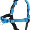 PetSafe Easy Walk® Deluxe Harness - Hondentuig - Blauw - L -1,8 M 1 PetSafe Easy Walk® Deluxe Harness - Hondentuig - Blauw - L -1,8 M -Huisdier Verkoop 1018x1200 2