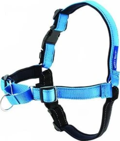 PetSafe Easy Walk® Deluxe Harness - Hondentuig - Blauw - L -1,8 M 30 PetSafe Easy Walk® Deluxe Harness - Hondentuig - Blauw - L -1,8 M -Huisdier Verkoop 1019x1200 3
