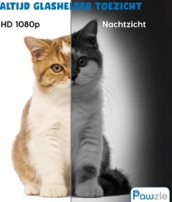 Pawzle Automatische Voerbak - Voerautomaat - Voederbak Kat & Hond - Camera, App En WiFi - Zwart -Huisdier Verkoop 1021x1200 1