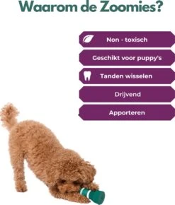 Furmey Zoomies - Honden Speelgoed - Hondenspeeltjes - Kauwbotten Hond - S Groen - 17 Cm 16 Furmey Zoomies - Honden Speelgoed - Hondenspeeltjes - Kauwbotten Hond - S Groen - 17 Cm -Huisdier Verkoop 1022x1200 1