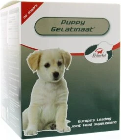 Primeval Artrose Gelatinaat Puppy - 350 Gr -Huisdier Verkoop 1033x1200 4