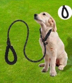 Nixnix - Honden Riem - 1,7cm - Zwart - 1,2cm Dik - Sliplijn - Nylon - Hondenriem - Verstelbaar - Jachtlijn Met Stop - Leiband -Huisdier Verkoop 1042x1200