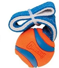 Chuckit! Chuckit Ultra Tug – Hondenspeelgoed - Blauw/Oranje – Large - ø 7 Cm 13 Chuckit! Chuckit Ultra Tug – Hondenspeelgoed - Blauw/Oranje – Large - ø 7 Cm -Huisdier Verkoop 1042x1200 6