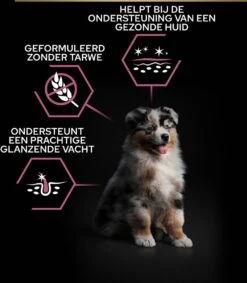 Pro Plan Medium Puppy Sensitive Skin - Honden Droogvoer - Zalm - 12 Kg 30 Pro Plan Medium Puppy Sensitive Skin - Honden Droogvoer - Zalm - 12 Kg -Huisdier Verkoop 1048x1200 1