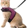 Kattentuigje Met Leiband Riem Kattenharnas Paars Maat M Kat & Kitten - Dieren Kattenriem - Cat Leash - Halsomvang 20 Tot 26cm - Borstomvang 30 Tot 34cm - Zootic® -Huisdier Verkoop 1065x1200 3