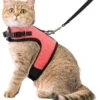 Kattentuigje Met Leiband Riem Kattenharnas Roze Maat S Kat & Kitten - Dieren Kattenriem - Cat Leash - Halsomvang 15 Tot 20cm - Borstomvang 25 Tot 30cm - Zootic® -Huisdier Verkoop 1065x1200 4