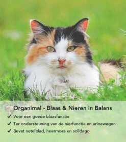 Organimal - Blaas En Nieren In Balans - Kat - O.a. Bij Blaasontsteking En Blaasgruis - 45 Tabletten A 700mg -Huisdier Verkoop 1071x1200 3