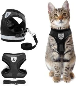 Merkloos Kattentuigje Met Looplijn | Zwart Kattenharnas| Easy Step In | Kattenriem | Kattenlijn | Kattentuig | Maat M -Huisdier Verkoop 1071x1200 5