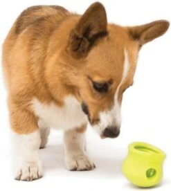 West Paw Toppl Zogoflex - Uitdagend En Sterk Speelgoed Voor Honden - Slowfeeder - Vulbaar Met Voer Of Snacks - Kleur: Groen, Maat: Large 39 West Paw Toppl Zogoflex - Uitdagend En Sterk Speelgoed Voor Honden - Slowfeeder - Vulbaar Met Voer Of Snacks - Kleur: Groen, Maat: Large -Huisdier Verkoop 1075x1200