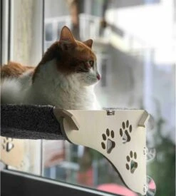 Merkloos Arnillo - Kattenhangmat - Kattenhangmat Raam - Kattenmand - Kattenbed - Kattenbed Raam - Kat Decoratie - Houten Kattenhangmat 11 Merkloos Arnillo - Kattenhangmat - Kattenhangmat Raam - Kattenmand - Kattenbed - Kattenbed Raam - Kat Decoratie - Houten Kattenhangmat -Huisdier Verkoop 1076x1200 10