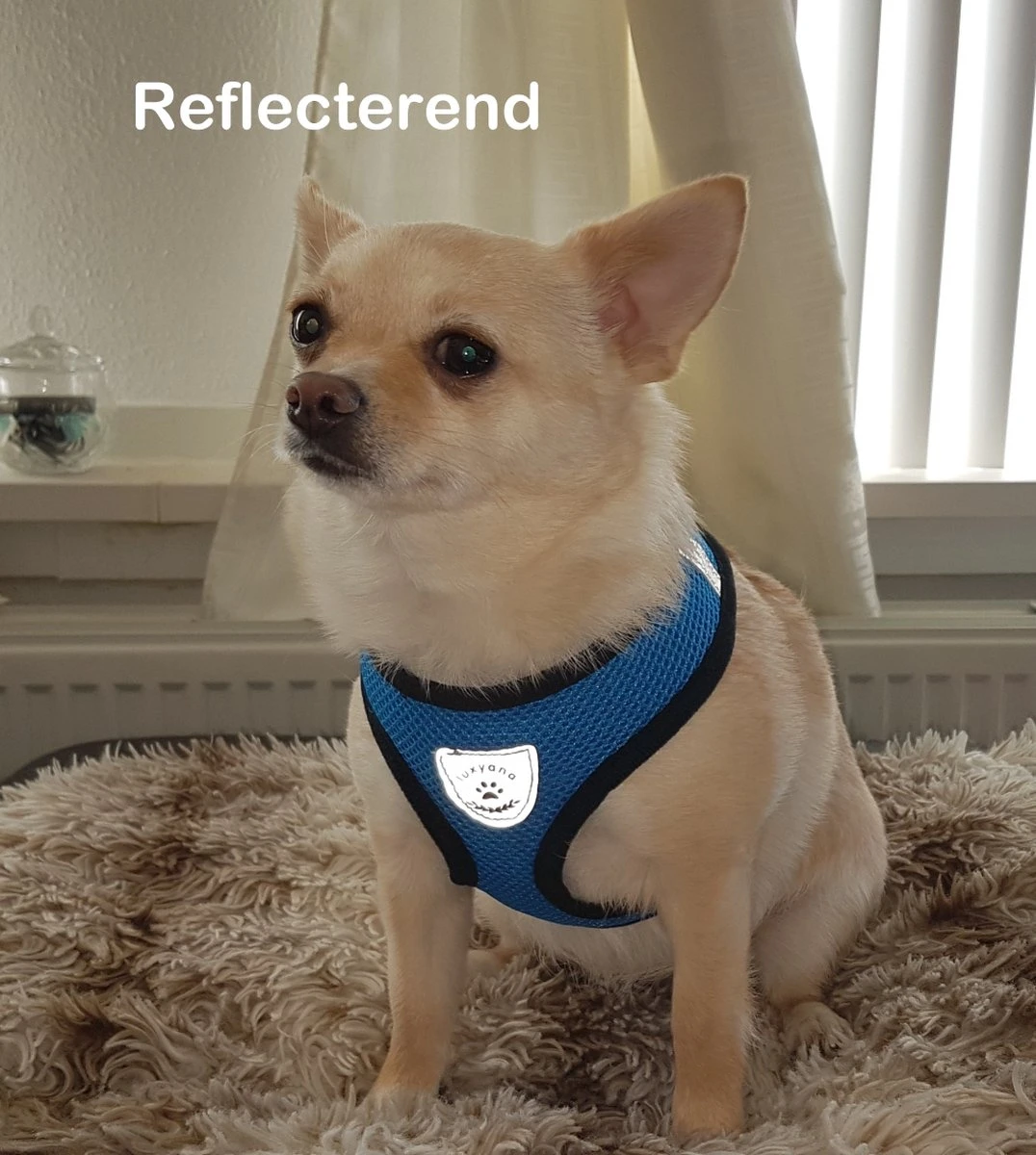 Luxyana Pets Hondentuig - M - 32-55cm - Harnas Voor Hond Of Grote Kat - Easy Step-in Hondenharnas - Inclusief Bijpassend Riempje - Zwart 8 Luxyana Pets Hondentuig - M - 32-55cm - Harnas Voor Hond Of Grote Kat - Easy Step-in Hondenharnas - Inclusief Bijpassend Riempje - Zwart - Afbeelding 6