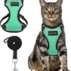 Kattentuigje Met Leiband Riem Kattenharnas Groen Maat L Kat & Kitten - Dieren Kattenriem - Cat Leash - Halsomvang 24 Tot 33cm - Borstomvang 36 Tot 41cm - Zootic® 1 Kattentuigje Met Leiband Riem Kattenharnas Groen Maat L Kat & Kitten - Dieren Kattenriem - Cat Leash - Halsomvang 24 Tot 33cm - Borstomvang 36 Tot 41cm - Zootic® -Huisdier Verkoop 1091x1200 5