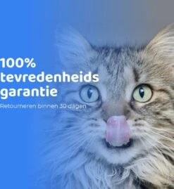 ACE Pets Ergonomische Voerbak Kat - Kattenvoerbakjes - Drinkbak Kat - Kat Voerbak 22 ACE Pets Ergonomische Voerbak Kat - Kattenvoerbakjes - Drinkbak Kat - Kat Voerbak -Huisdier Verkoop 1100x1200 2