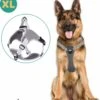Mmoods Hondentuigje Grijs - Anti-Trek Tuig - Hondenharnas Voor Extra Grote Honden - Reflecterende Halsband Hond - Hondenhalsband Maat XL