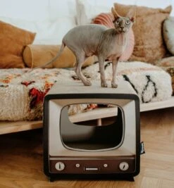 District 70 TELLY - Retro TV Krabmeubel - Instagrammable Kartonnen TV Voor Katten - 39 X 27 X 37 Cm 18 District 70 TELLY - Retro TV Krabmeubel - Instagrammable Kartonnen TV Voor Katten - 39 X 27 X 37 Cm -Huisdier Verkoop 1112x1200 6