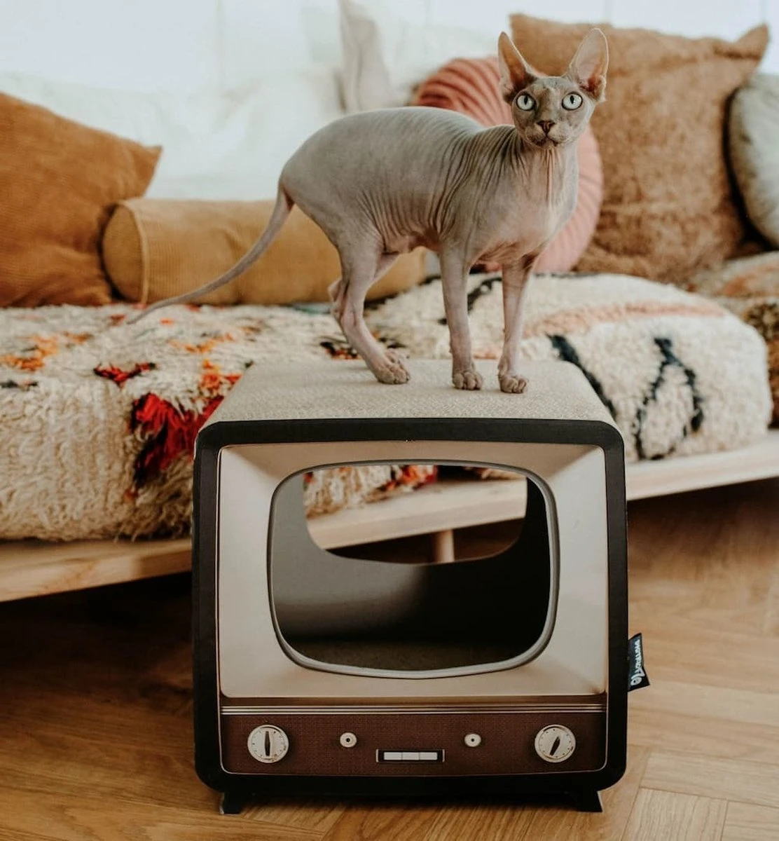 District 70 TELLY - Retro TV Krabmeubel - Instagrammable Kartonnen TV Voor Katten - 39 X 27 X 37 Cm 8 District 70 TELLY - Retro TV Krabmeubel - Instagrammable Kartonnen TV Voor Katten - 39 X 27 X 37 Cm - Afbeelding 6