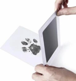 PrintMe - Paw Print Pad - Groter Formaat - Pootafdruk Maken Van Hond Of Kat - Zeer Gemakkelijk - Verbeterd Formaat! - Geen Inkt Op De Poot Van Uw Huisdier- Groot - Leuk Als Cadeau! -Huisdier Verkoop 1133x1200 2