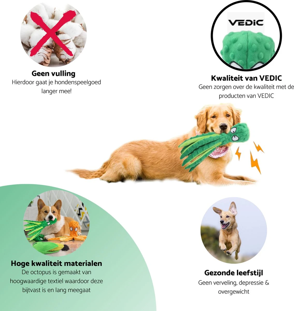 VEDIC® - Octopus Honden Knuffel Set Van 4 - Piepspeelgoed - Geen Vulling - 32CM - Groen/Blauw/Oranje/Roze 6 VEDIC® - Octopus Honden Knuffel Set Van 4 - Piepspeelgoed - Geen Vulling - 32CM - Groen/Blauw/Oranje/Roze - Afbeelding 4