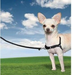Petsafe Easy Walk® Deluxe Harness - Hondentuigje - Blauw - M - 1,8 M -Huisdier Verkoop 1138x1200 5