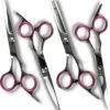 Professionele Hondenscharenset 4 Delig - Trimschaar - Hond Knippen - Dierenverzorging