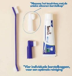 Hond En Kat Tandenborstel Verzorgingsset - Inclusief Tandpasta Met Beefsmaak - Vier Unieke Reinigingsborstels - Fluoride Vrij -Huisdier Verkoop 1142x1200 5