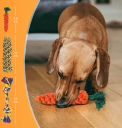 Nobleza Honden Speelgoed Set PLJ - 10 Stuks -Huisdier Verkoop 1146x1200 11