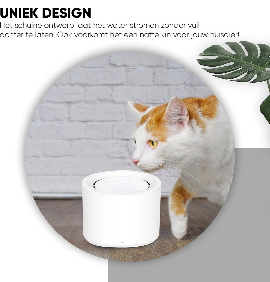 Petree Drinkfontein - Kat - Hond - Viervoudige Filtersysteem - UV-lamp - Drinkbakken - Dieren - Fluisterstil (1.8L) 5 Petree Drinkfontein - Kat - Hond - Viervoudige Filtersysteem - UV-lamp - Drinkbakken - Dieren - Fluisterstil (1.8L) - Afbeelding 3