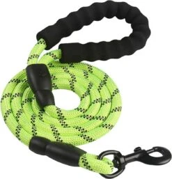 Comfortabele Hondenriem Met Gevoerd Handvat – Stevige Nylon Hondenlijn – Riem Voor Honden