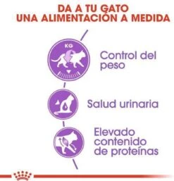 Royal Canin Sterilised 37 - Kattenvoer - 10 Kg 19 Royal Canin Sterilised 37 - Kattenvoer - 10 Kg -Huisdier Verkoop 1154x1200 7