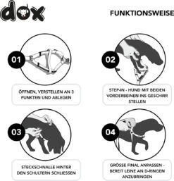 DDOXX Hondenharnas Nylon, Step-In, Verstelbaar, Uitbraakbestendig | Voor Kleine, Middelgrote & Grote Honden | Borstharnas Hond Kat Puppy Auto | Puppy Harnas Kat Harnas | Zwart, S 19 DDOXX Hondenharnas Nylon, Step-In, Verstelbaar, Uitbraakbestendig | Voor Kleine, Middelgrote & Grote Honden | Borstharnas Hond Kat Puppy Auto | Puppy Harnas Kat Harnas | Zwart, S -Huisdier Verkoop 1155x1200 4