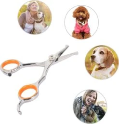 Merkloos Premium Gebogen Trimschaar Honden - Huisdier Trimmen - Hoofd, Poten Ogen & Oren - Kat & Hond Knippen - Veilige Schaar 16 Merkloos Premium Gebogen Trimschaar Honden - Huisdier Trimmen - Hoofd, Poten Ogen & Oren - Kat & Hond Knippen - Veilige Schaar -Huisdier Verkoop 1159x1200