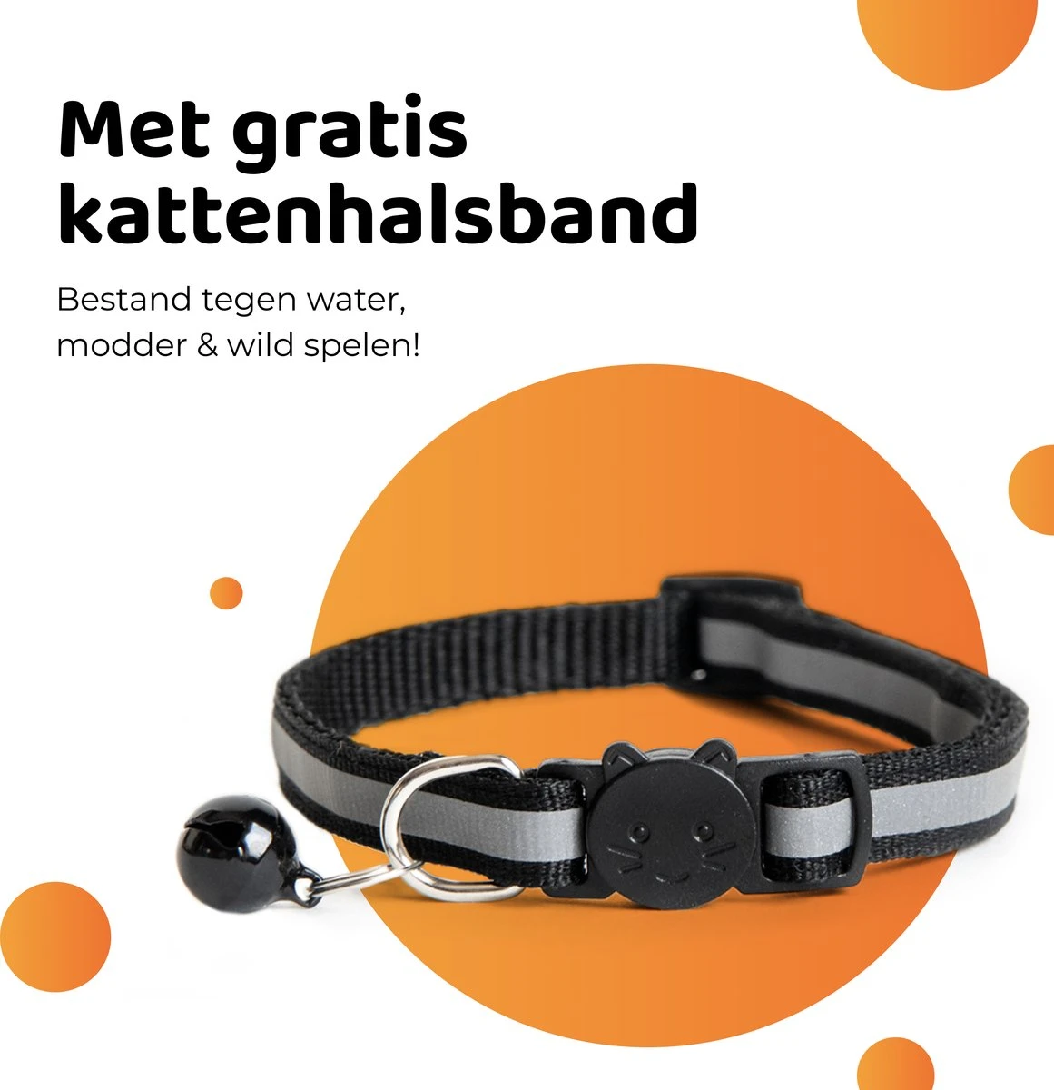 ACE Pets Ergonomische Voerbak Kat - Kattenvoerbakjes - Drinkbak Kat - Kat Voerbak 12 ACE Pets Ergonomische Voerbak Kat - Kattenvoerbakjes - Drinkbak Kat - Kat Voerbak - Afbeelding 10