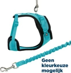 Trixie Kattentuig Mesh Y-vorm Met Elastische Riem (36-60X100 CM) -Huisdier Verkoop 1169x1200 19