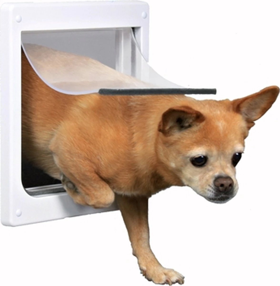 Trixie 2-Weg Hondenluik Wit - XS-S 25 X 29 CM 8 Trixie 2-Weg Hondenluik Wit - XS-S 25 X 29 CM - Afbeelding 6