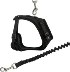 Trixie Kattentuig Mesh Y-vorm Met Elastische Riem (36-60X100 CM) -Huisdier Verkoop 1177x1200 11