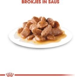 Royal Canin Shn Mini Adult Pouch - Hondenvoer - 12 X 85 G 17 Royal Canin Shn Mini Adult Pouch - Hondenvoer - 12 X 85 G -Huisdier Verkoop 1177x1200 4