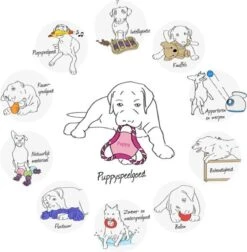 Trixie Dogtoy Dog Activity Strategy Game Gamble Box - Piepend Speelgoed - 15cm X 15cm X 9cm - Zwart/rood/oranje -Huisdier Verkoop 1178x1200 10