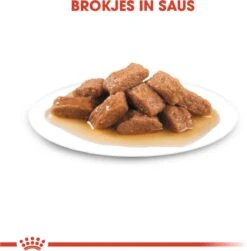 Royal Canin Shn Medium Adult Pouch - Hondenvoer - 10 X 140 G 14 Royal Canin Shn Medium Adult Pouch - Hondenvoer - 10 X 140 G -Huisdier Verkoop 1180x1200 8