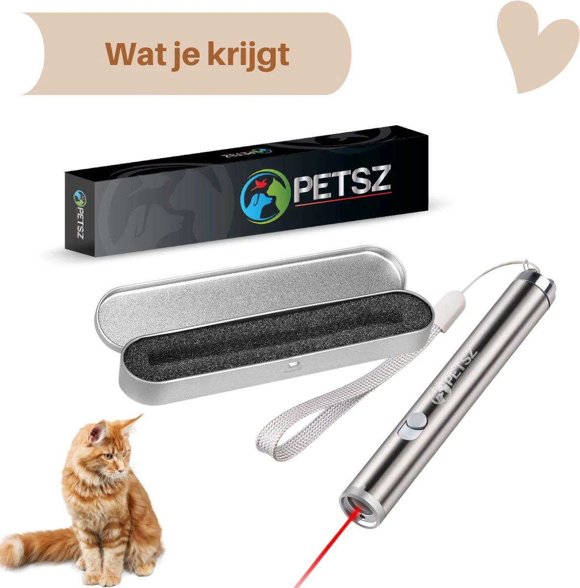 Laserpen - Kattenspeeltjes - Zaklamp - Kat - Laser - Kattenspeelgoed - RVS Opbergblikje 7 Laserpen - Kattenspeeltjes - Zaklamp - Kat - Laser - Kattenspeelgoed - RVS Opbergblikje - Afbeelding 5