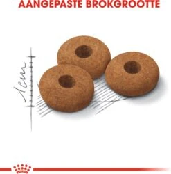 Royal Canin Appetite Control Care - Kattenvoer - 2 Kg -Huisdier Verkoop 1184x1200 13