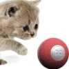 Cheerble Mini Ball 2.0 - Slimme Interactieve Zelf Rollende Bal Voor Katten - 3 Speelmodi - Kattenspeeltjes - USB Oplaadbaar - Rood -Huisdier Verkoop 1184x1200 16