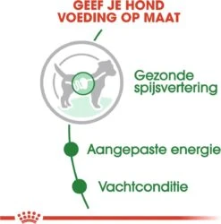 Royal Canin Shn Mini Adult Pouch - Hondenvoer - 12 X 85 G 16 Royal Canin Shn Mini Adult Pouch - Hondenvoer - 12 X 85 G -Huisdier Verkoop 1187x1200 12