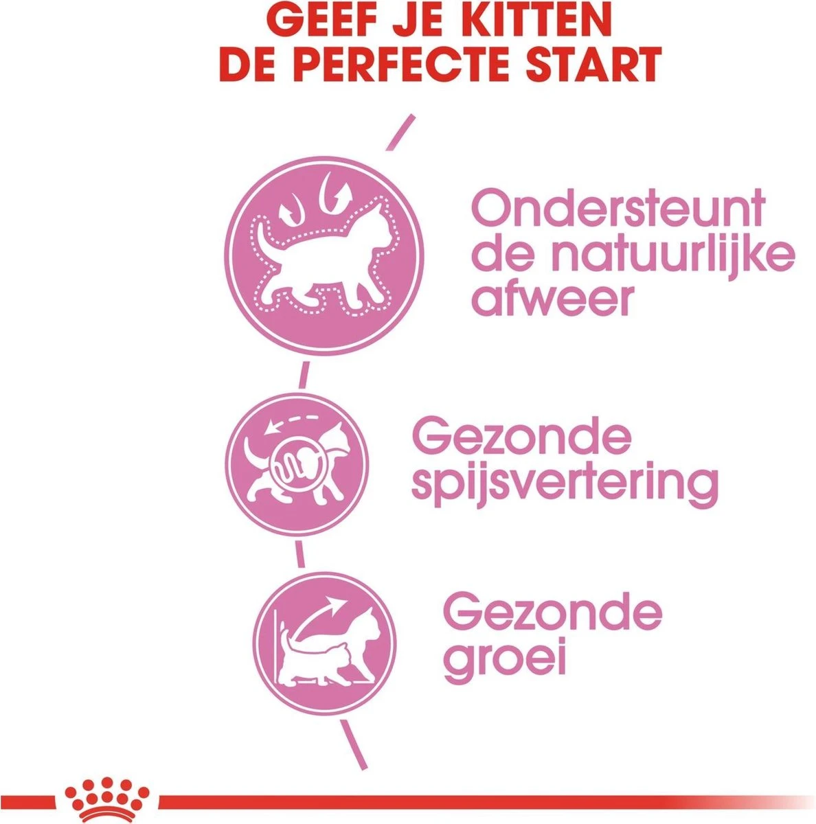 Royal Canin Kitten - Kittenvoer - 2 Kg 8 Royal Canin Kitten - Kittenvoer - 2 Kg - Afbeelding 6