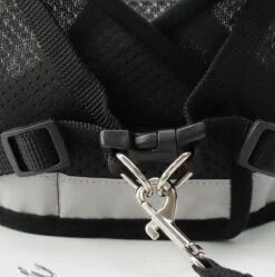 Merkloos Kittentuigje - Kattentuigje Reflecterend - Kattenharnas - Kattentuig Met Looplijn - Zwart - Maat XS -Huisdier Verkoop 1188x1200 15