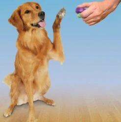 Petsafe Clicker Voor Training -Huisdier Verkoop 1188x1200 2