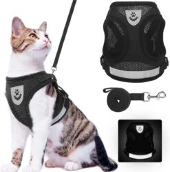 Merkloos Kittentuigje - Kattentuigje Reflecterend - Kattenharnas - Kattentuig Met Looplijn - Zwart - Maat XS -Huisdier Verkoop 1189x1200 20